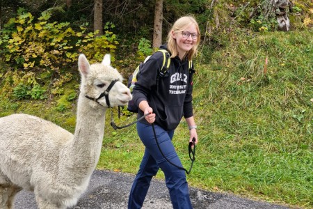 Alpakawanderung mit Karin