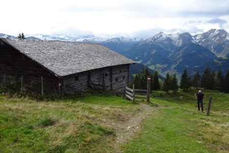 Almwanderung mit Maria Knapp zur Saukaralm