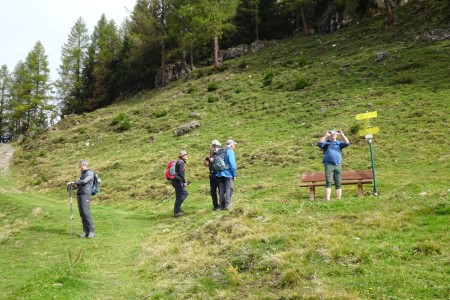 Almwanderung mit Maria Knapp zur Saukaralm