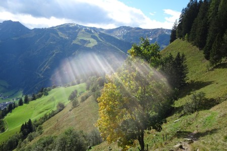 Almwanderung mit Maria Knapp zur Saukaralm