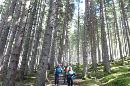 Wanderung mit Daniela zur Unterwandalm