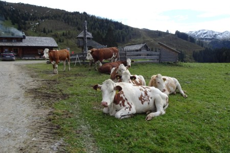 Wanderung mit Daniela zur Unterwandalm