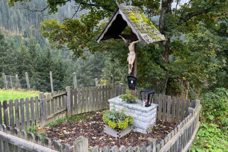 Wanderung mit Toni im Bereich der Breitenebenalm