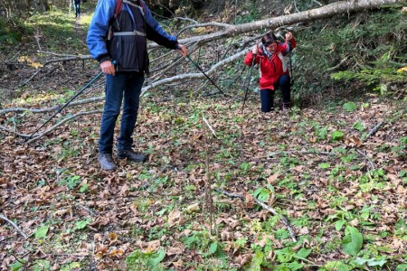 Wanderung mit Toni sen. zum Großarler Sinnesweg