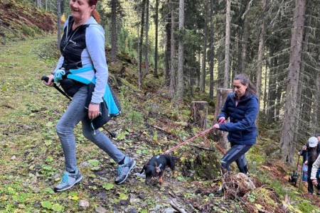 Wanderung mit Toni sen. im Bereich Breitenebenwinkel