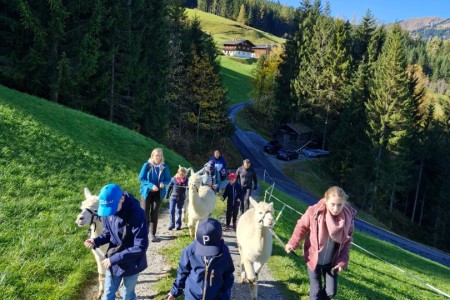 Alpakawanderung mit Karin