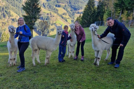 Alpakawanderung mit Karin