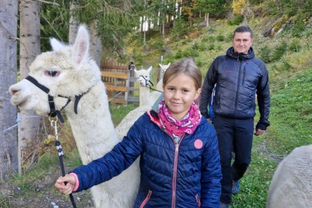 Alpakawanderung mit Karin