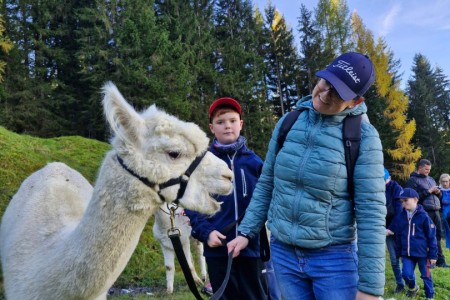 Alpakawanderung mit Karin