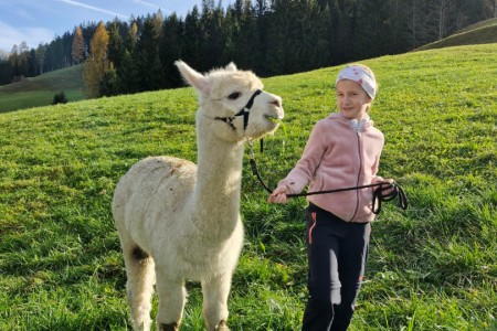 Alpakawanderung mit Karin