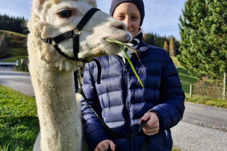 Alpakawanderung mit Karin