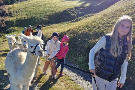 Alpakawanderung mit Karin