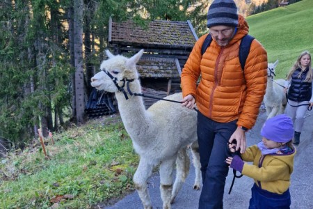 Alpakawanderung mit Karin