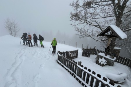 Geführte Schneeschuhwanderung mit Toni im Bereich der Breitenebenalm