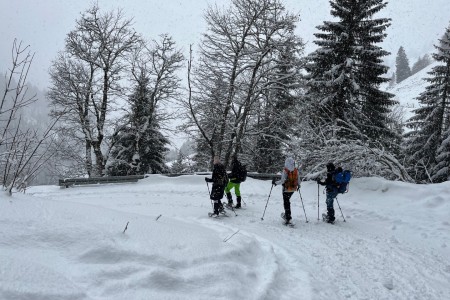 Geführte Schneeschuhwanderung mit Toni im Bereich der Breitenebenalm