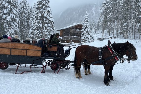 Weihnachts Spaziergang mit Toni in Hüttschlag