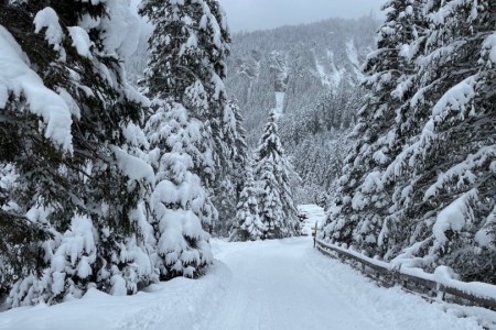 Weihnachts Spaziergang mit Toni in Hüttschlag