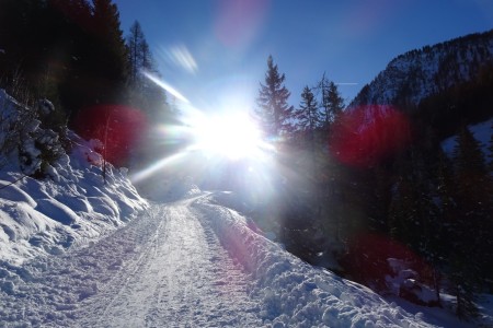 Winterwanderung und Rodelpartie mit Dominik