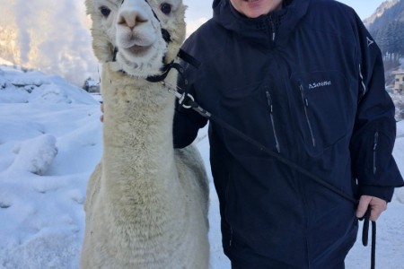 Alpaka Spaziergang mit Karin