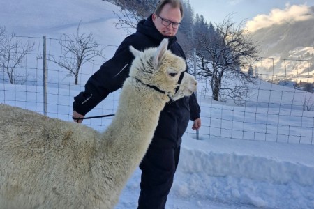 Alpaka Spaziergang mit Karin