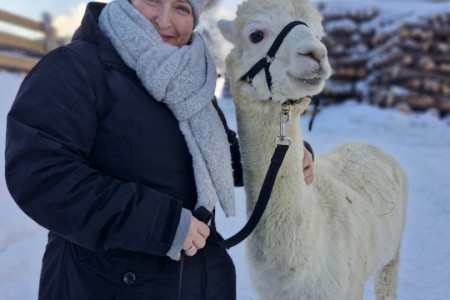 Alpaka Spaziergang mit Karin