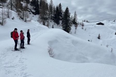 Geführte Schneeschuhwanderung mit Toni im Bereich der Breitenebenalm