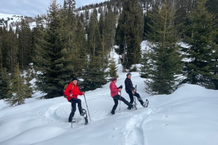 Geführte Schneeschuhwanderung mit Toni im Bereich der Breitenebenalm