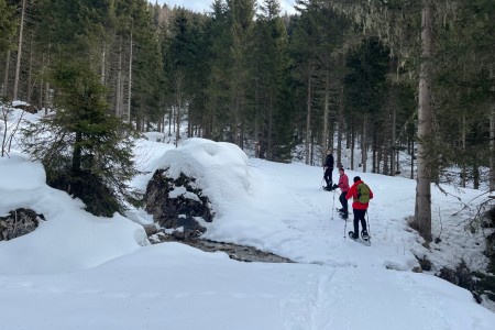 Geführte Schneeschuhwanderung mit Toni im Bereich der Breitenebenalm