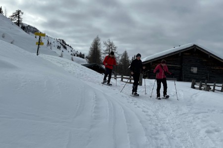 Geführte Schneeschuhwanderung mit Toni im Bereich der Breitenebenalm