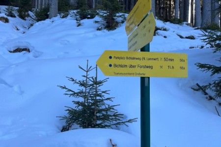 Schneeschuhwanderung mit Toni im Bereich der Grafenalm