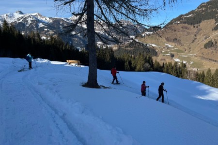 Schneeschuhwanderung mit Toni im Bereich der Grafenalm