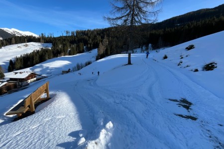 Schneeschuhwanderung mit Toni im Bereich der Grafenalm