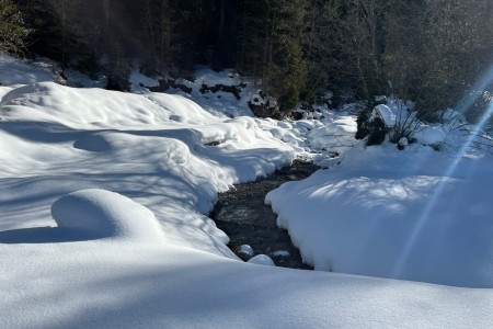 Schneeschuhwanderung mit Toni im Bereich der Breitenebenalm