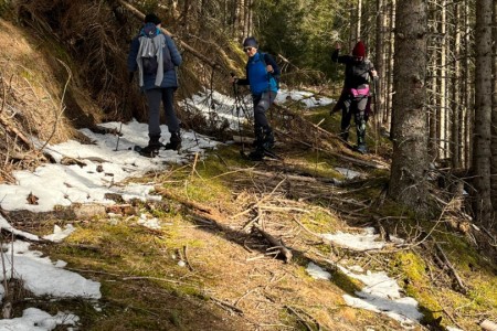 Schneeschuhwanderung mit Toni im Bereich der Breitenebenalm