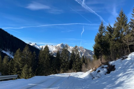 Schneeschuhwanderung mit Toni im Bereich der Breitenebenalm