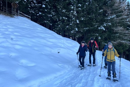 Ganz gemütliche Schneeschuhwanderung mit Toni im Bereich Finsterwald