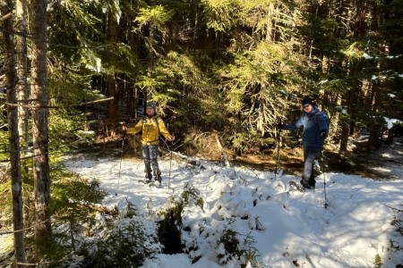 Ganz gemütliche Schneeschuhwanderung mit Toni im Bereich Finsterwald