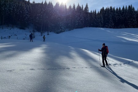 Ganz gemütliche Schneeschuhwanderung mit Toni im Bereich Finsterwald