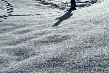 Ganz gemütliche Schneeschuhwanderung mit Toni im Bereich Finsterwald