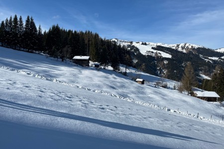 Ganz gemütliche Schneeschuhwanderung mit Toni im Bereich Finsterwald