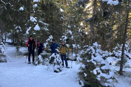 Ganz gemütliche Schneeschuhwanderung mit Toni im Bereich Finsterwald