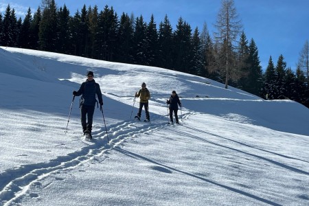 Ganz gemütliche Schneeschuhwanderung mit Toni im Bereich Finsterwald