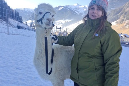 Alpaka Spaziergang mit Karin