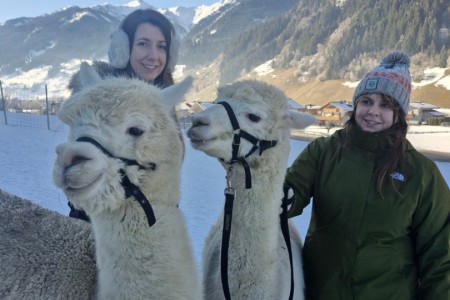 Alpaka Spaziergang mit Karin