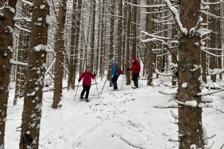 Schneeschuhwanderung mit Toni sen. zur Grafenalm