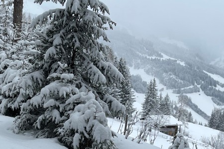 Schneeschuhwanderung mit Toni sen. zur Grafenalm