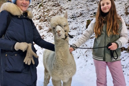 Alpakaspaziergang mit Karin