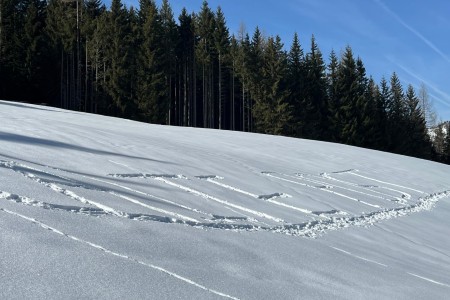 Schneeschuhwanderung mit Toni im Gebiet der Grafenalm