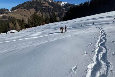 Schneeschuhwanderung mit Toni im Gebiet der Grafenalm