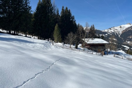 Schneeschuhwanderung mit Toni im Gebiet der Grafenalm